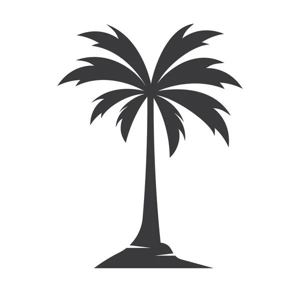 Palm Boom Logo Afbeeldingen Illustratie Ontwerp — Stockvector