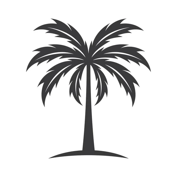Palmiye Ağacı Logo Resimleri Çizimi Tasarımı — Stok Vektör
