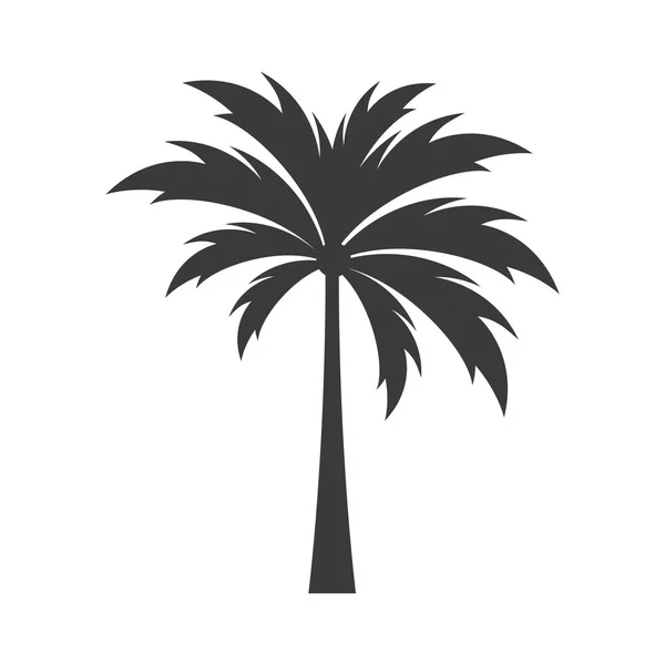 Illustration Images Logo Palmier — Image vectorielle