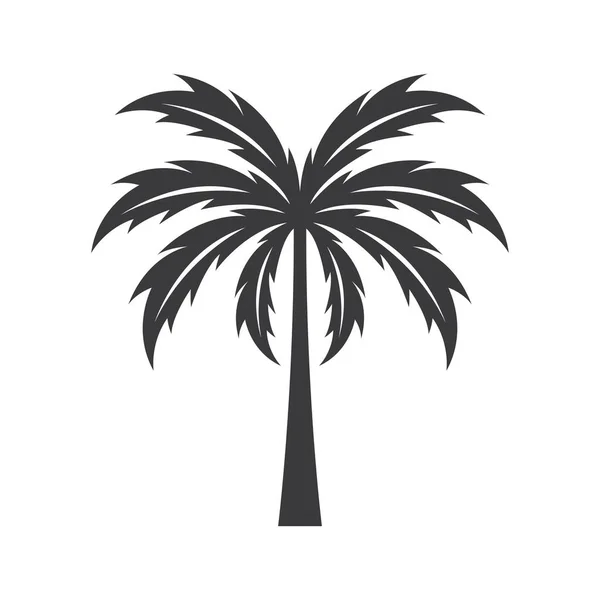 Рисунок Логотипа Пальмы — стоковый вектор