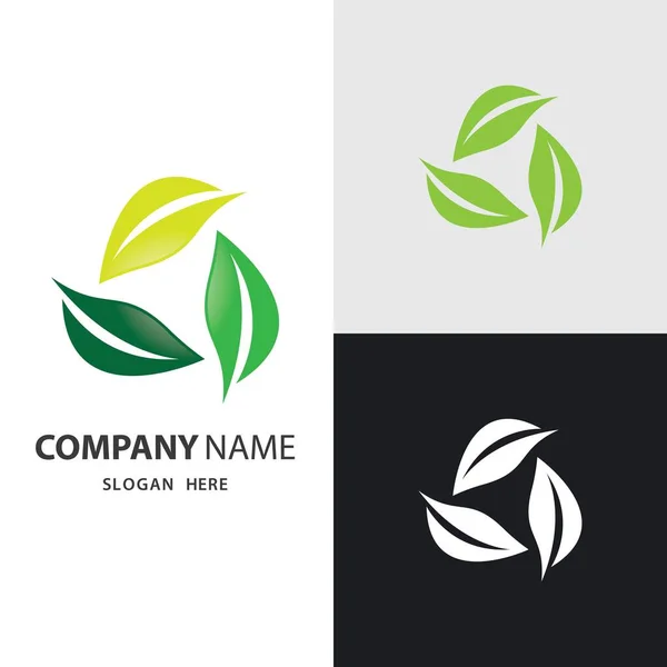 Folha Logotipo Imagens Ilustração Design — Vetor de Stock