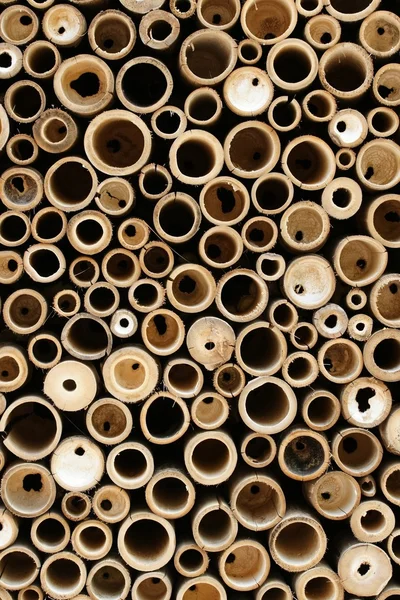 Bamboo diameters — Stock Photo, Image