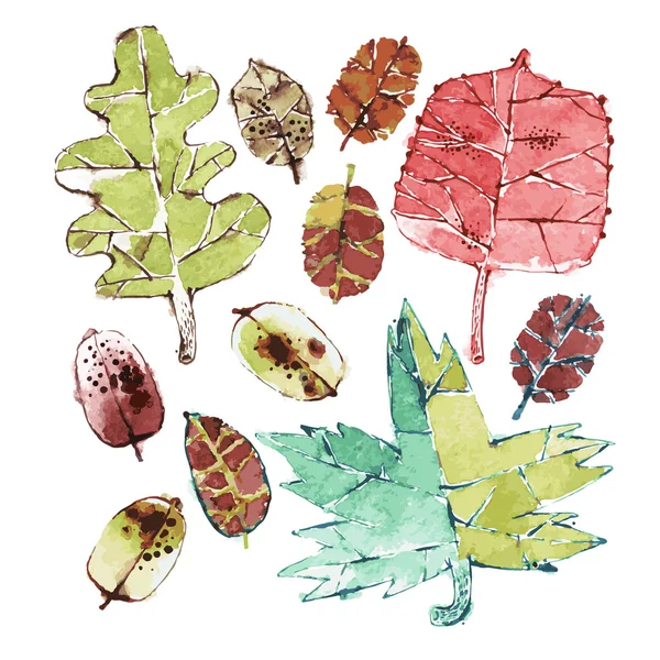 Set foglie autunnali — Vettoriale Stock