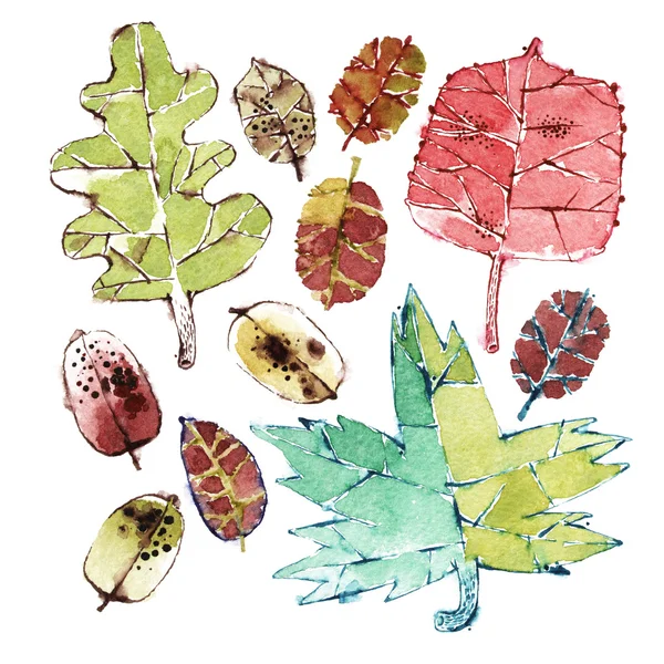 Aquarel autumn Leaves instellen — Stockfoto