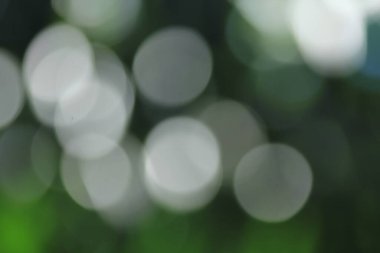 Tayland ormanındaki Bokeh yeşil yaprakları