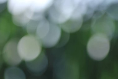 Tayland ormanındaki Bokeh yeşil yaprakları