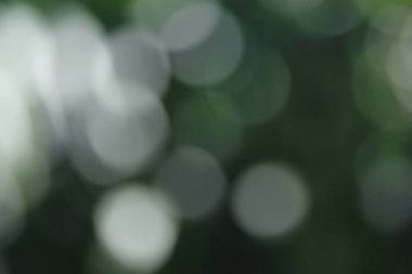 Tayland ormanındaki Bokeh yeşil yaprakları