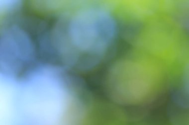 Tayland ormanındaki Bokeh yeşil yaprakları