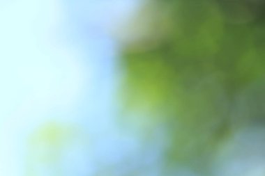 Tayland ormanındaki Bokeh yeşil yaprakları