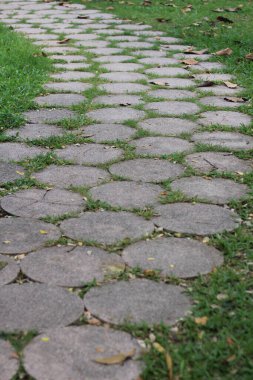 Bahçe yolları ve yeşil çimenler