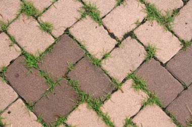 Tuğla zemin ve yeşil çimenler