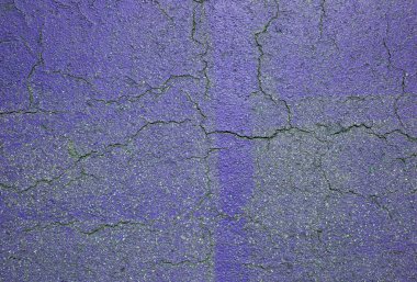 Bahçedeki bisiklet pistinde çatlak.