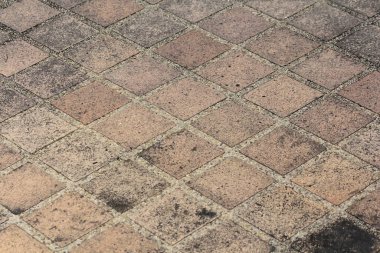 Parkta yürüyüş yolu