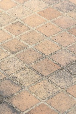 Parkta yürüyüş yolu