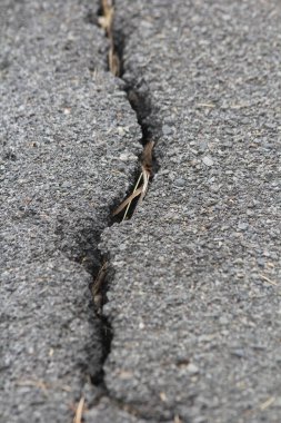 The old paved road has a crack. clipart