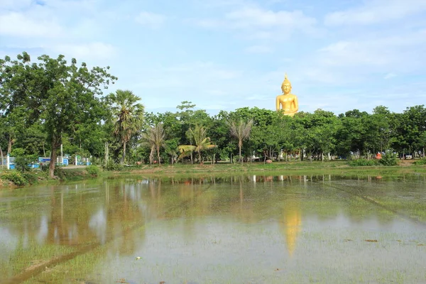 Sky Temple Rice Fields Στην Ταϊλάνδη — Φωτογραφία Αρχείου