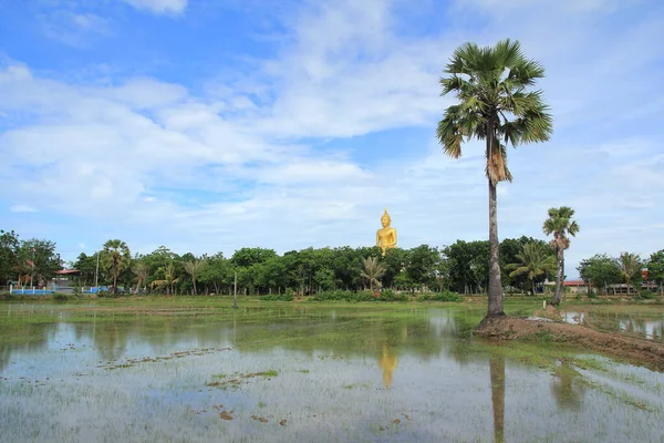 Sky Temple Campi Riso Thailandia — Foto Stock