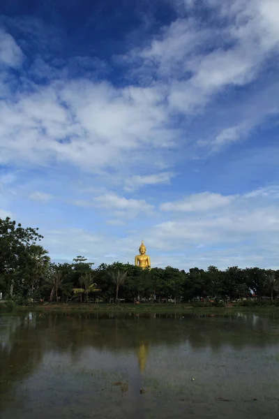 Tayland Daki Gökyüzü Tapınağı Pirinç Tarlaları — Stok fotoğraf