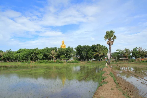 Небесный Храм Рисовые Поля Таиланде — стоковое фото