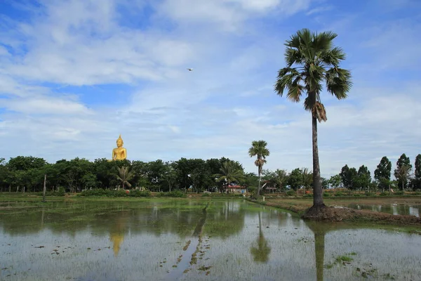 Sky Temple Campos Arroz Tailandia — Foto de Stock