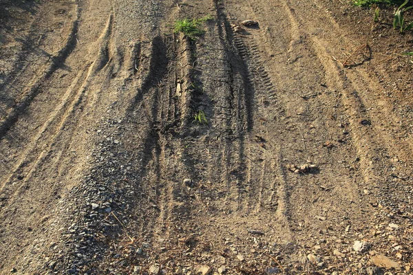 Dirt Road Rice Fields — Fotografia de Stock