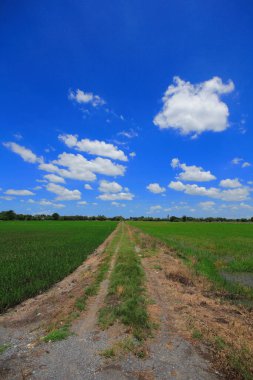 alanlar ve açık gökyüzü