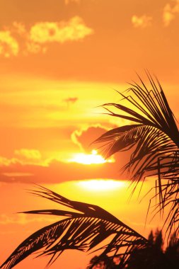 Akşam gökyüzündeki güneş batmak üzere.