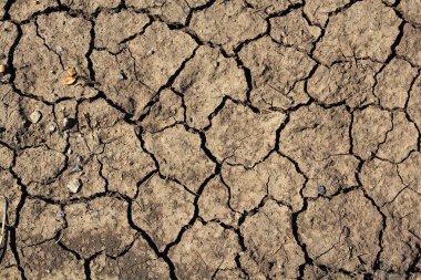 Kurumuş topraklar susuz.