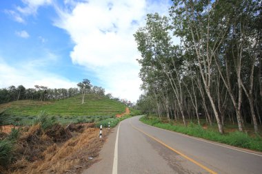 Şehrin dışındaki yol.