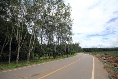 Şehrin dışındaki yol.