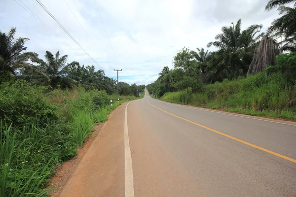 Estrada Fora Cidade — Fotografia de Stock