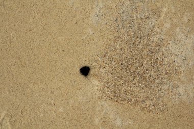 Deniz kıyısındaki kumlu sahil