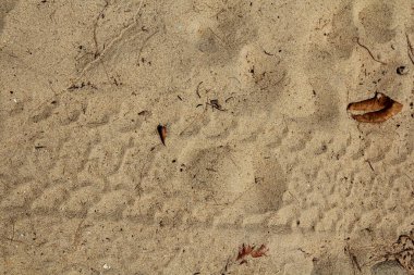 Deniz kıyısındaki kumlu sahil