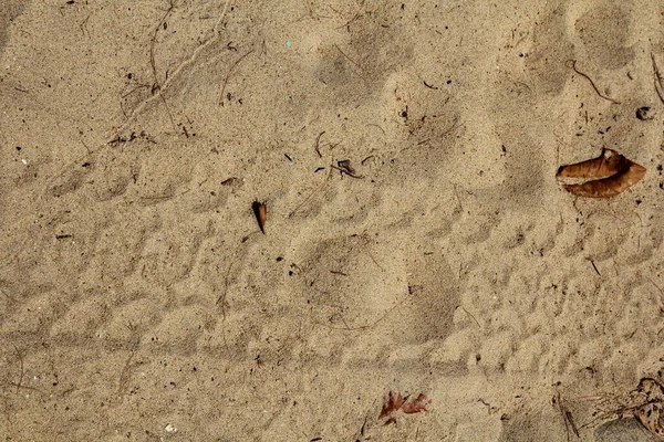 Plage Sable Bord Mer — Photo