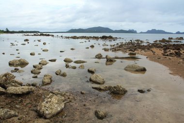 Deniz kıyısındaki kayalık sahil.