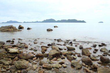 Deniz kıyısındaki kayalık sahil.