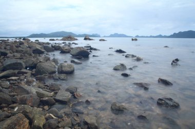 Deniz kıyısındaki kayalık sahil.