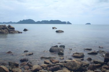 Deniz kıyısındaki kayalık sahil.