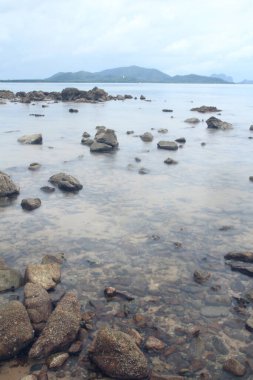 Deniz kıyısındaki kayalık sahil.