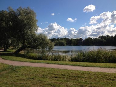 Yaz göl, bulut ve ağaçlar