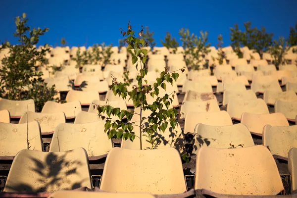 stock image Overgrown old stadium seats