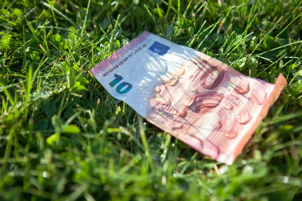 10 euro banknot çimenlerin üzerinde