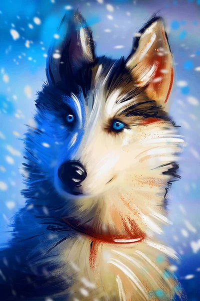 Portret Van Een Tamme Hond Husky Winter — Stockfoto