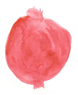 Suluboya nar vektör