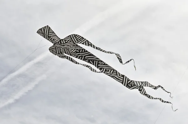 Kleurrijke vliegeren in een bewolkte hemel — Stockfoto