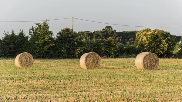 Heuballen in einem ländlichen Feld — Stockfoto