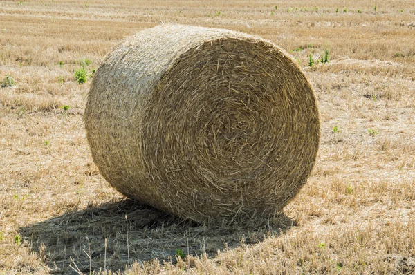 Bale of Hay — Fotografia de Stock