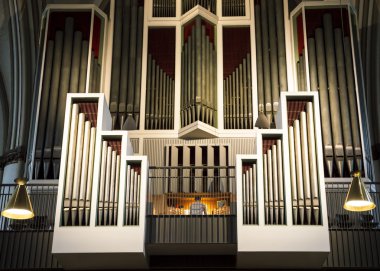 Organ enstrüman