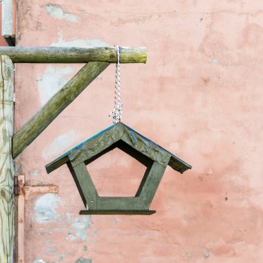 Kuş yuvası bir kentsel arka planda