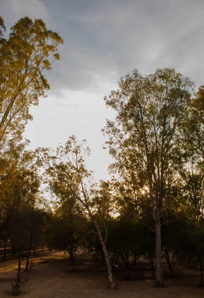 Atardecer Dia Soleado Con Naturaleza — 图库照片